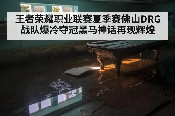 王者荣耀职业联赛夏季赛佛山DRG战队爆冷夺冠黑马神话再现辉煌