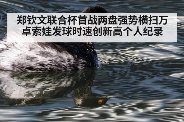 郑钦文联合杯首战两盘强势横扫万卓索娃发球时速创新高个人纪录