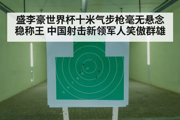 shooting sport rifle target